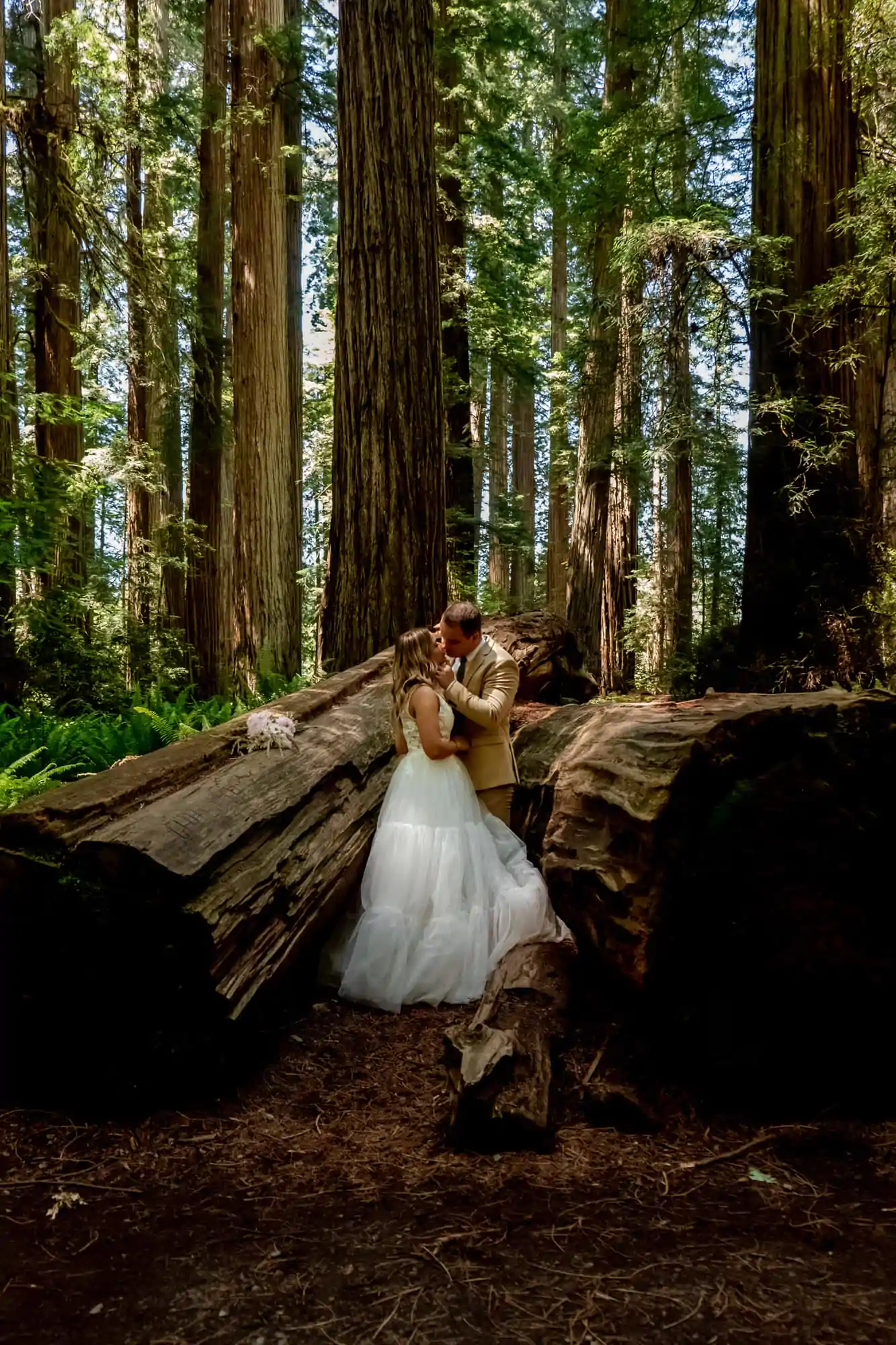 couple kissing in california redwood national park from an Orlando Wedding Photographer