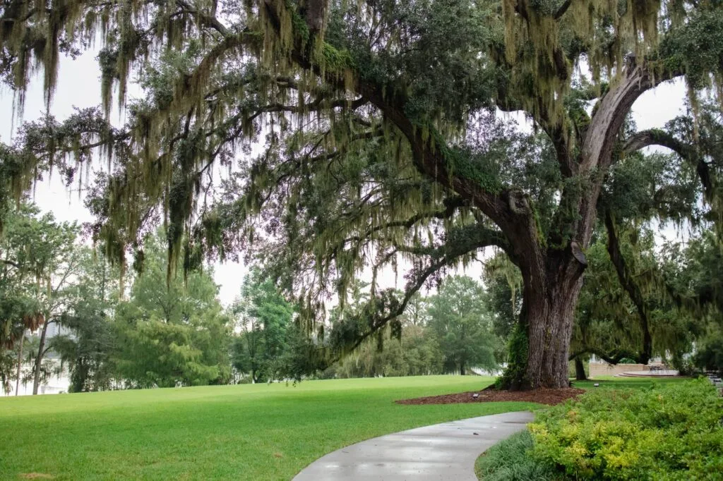 Harry P. Leu Gardens front entrance
