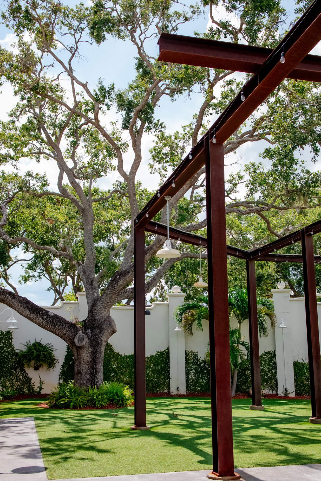 tree venue 650