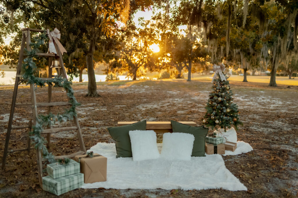 Set up fro the holidays decor