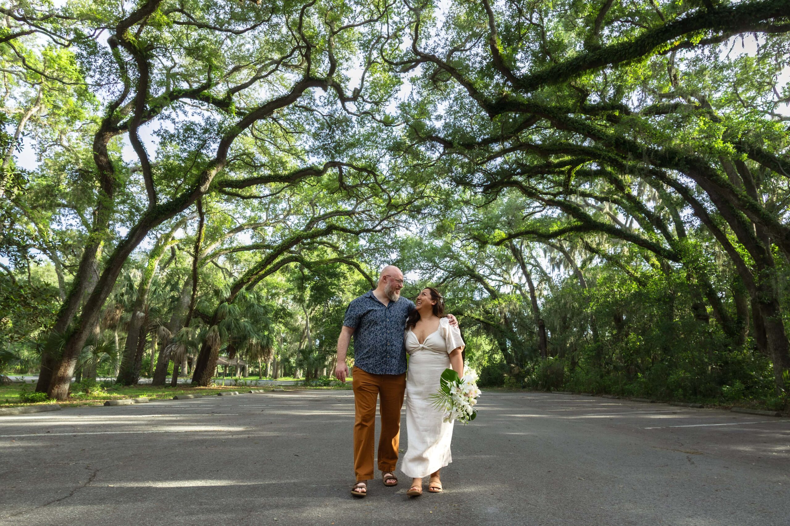 amazing oak tree background at philippe park