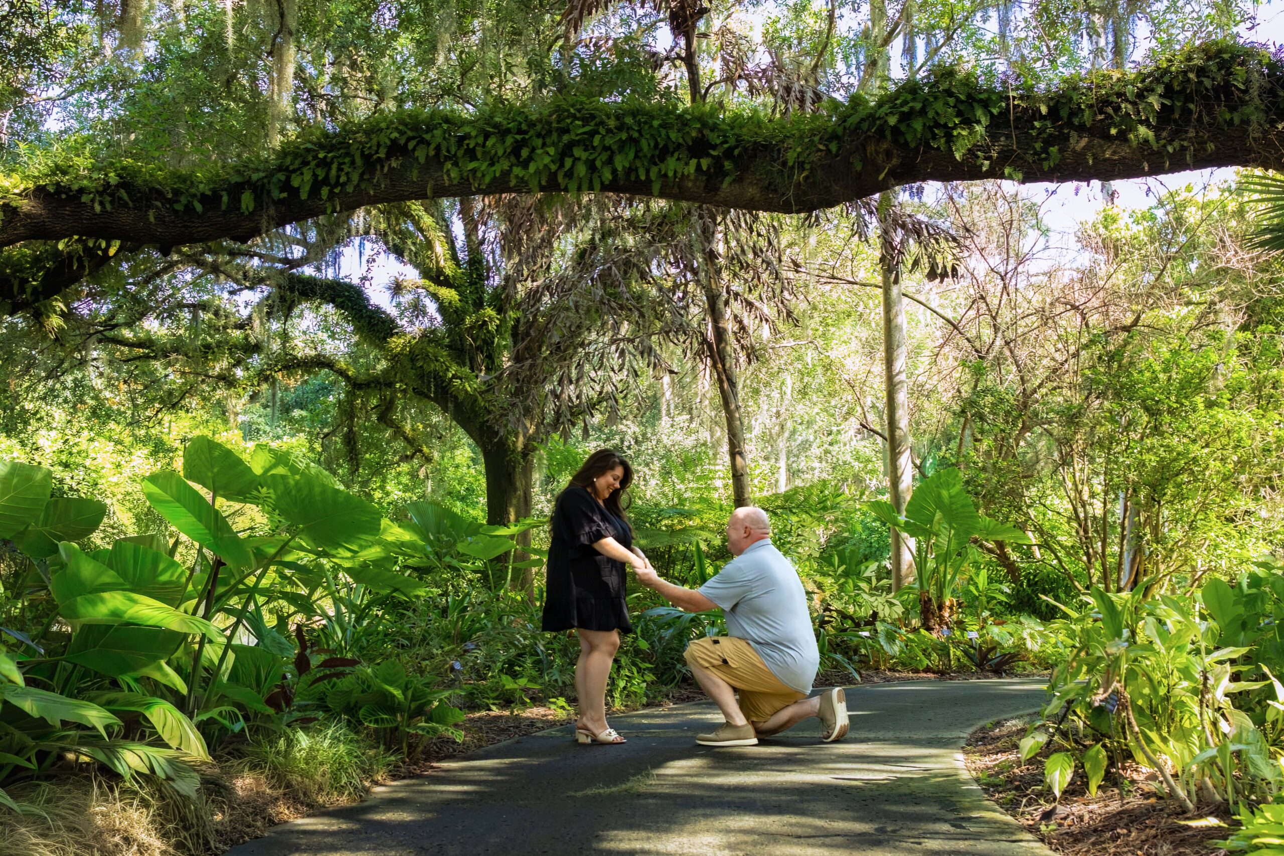 leu gardens proposal